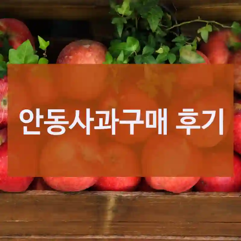 안동사과구매 후기