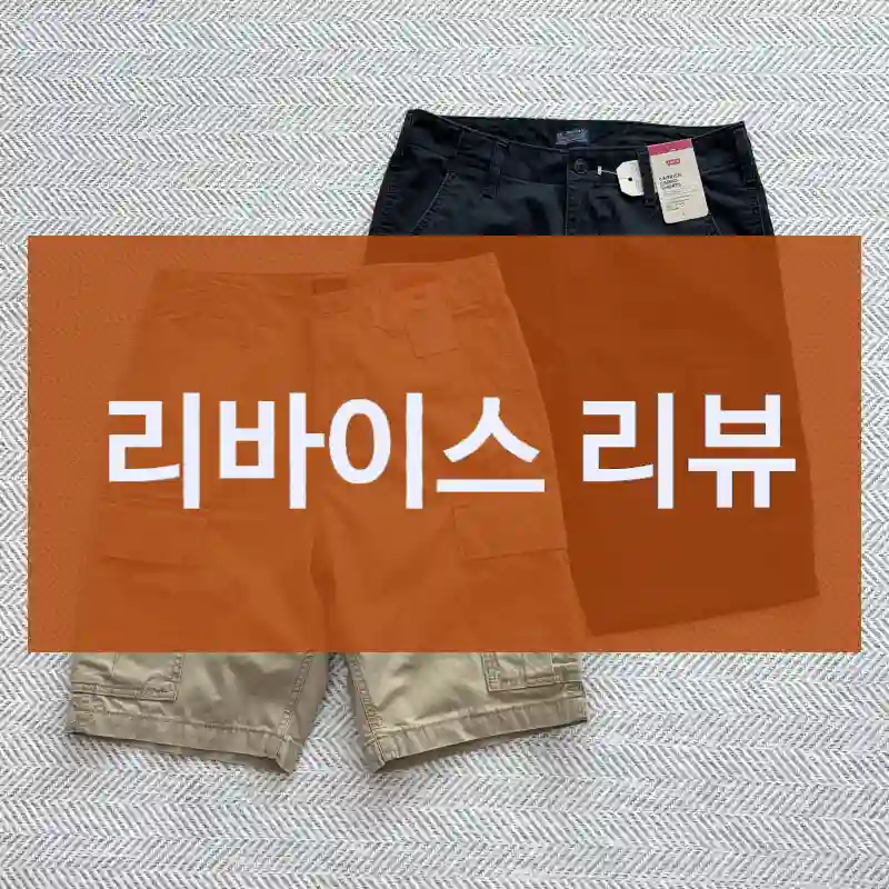 리바이스 리뷰