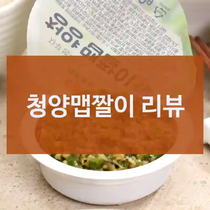 올해 가장 만족한 구매, 셰프애찬 “청양맵짤이” 경험기