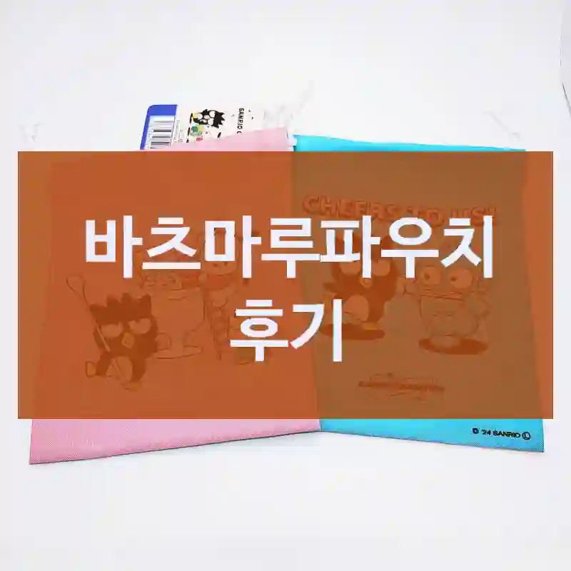 진작 안 썼을까? 싶은 “바츠마루파우치” 구매 경험담