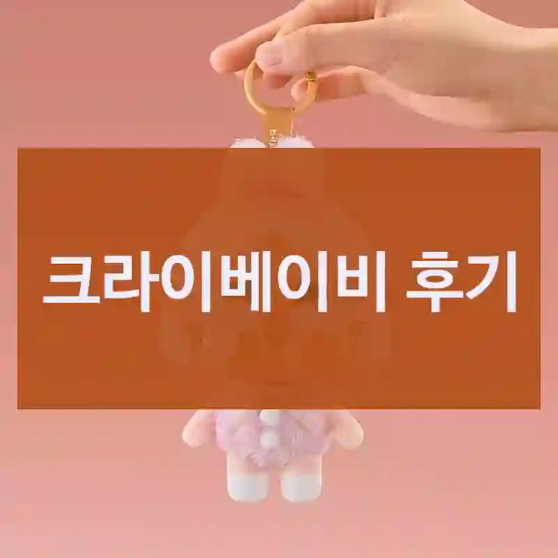 합리적 소비를 위해 크라이베이비 후기