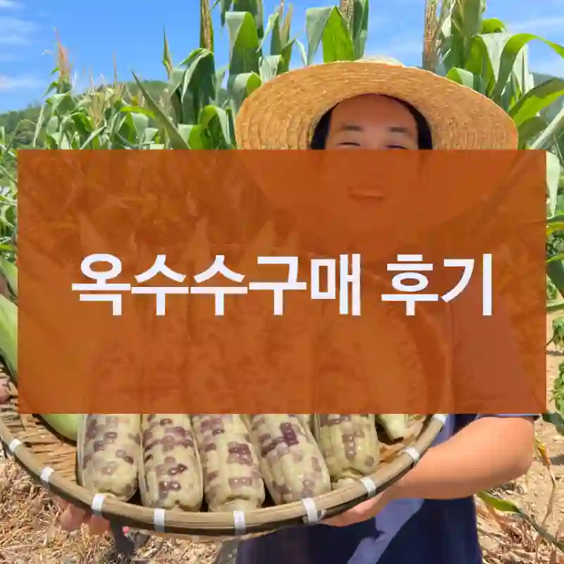 옥수수구매 후기