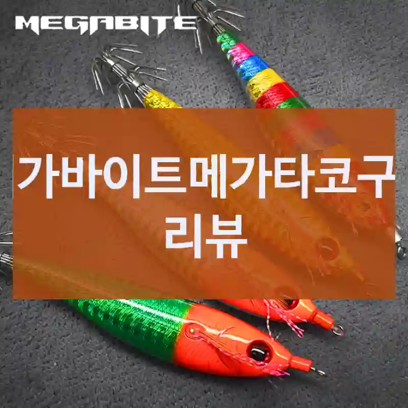 메가바이트메가타코구입 리뷰