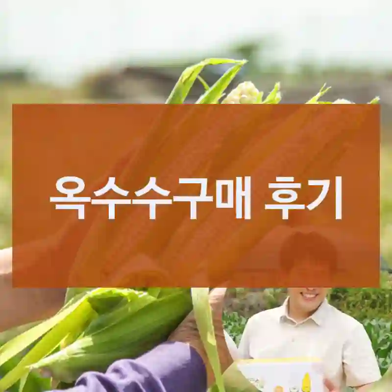 옥수수구매 후기