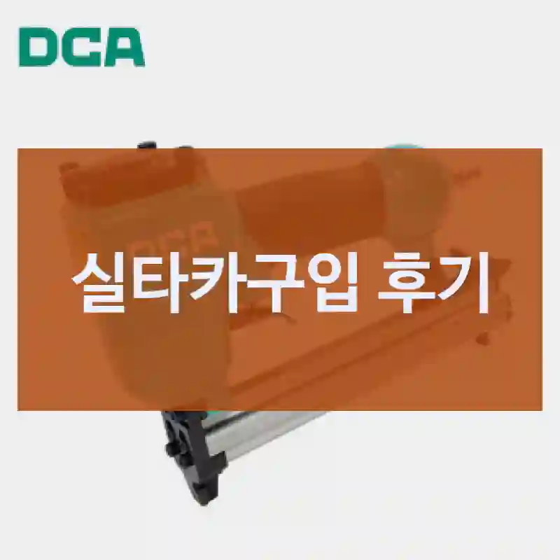 DCA 실타카-리뷰 많은 건 다 이유가 있다?