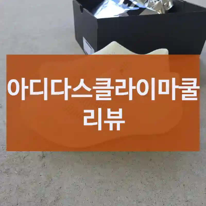 진짜 실화냐… 아디다스클라이마쿨 경험 후기-간편한스타일