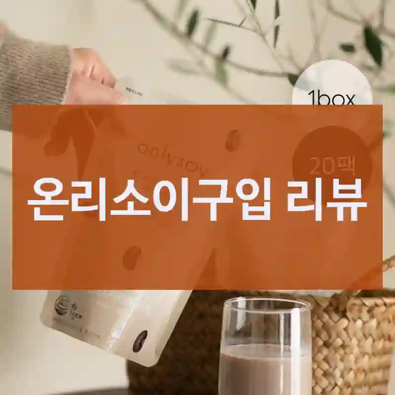 온리소이구입 리뷰