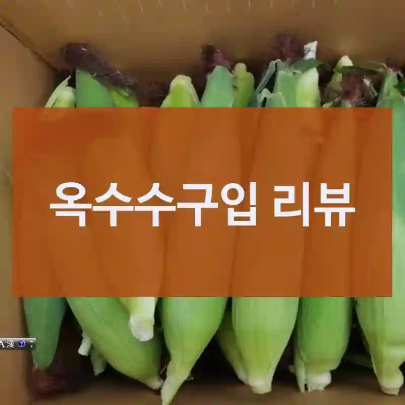 옥수수구입 리뷰