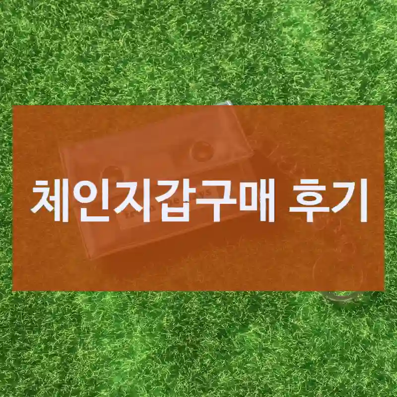 체인지갑구매 후기