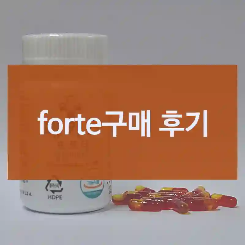 forte구매 후기