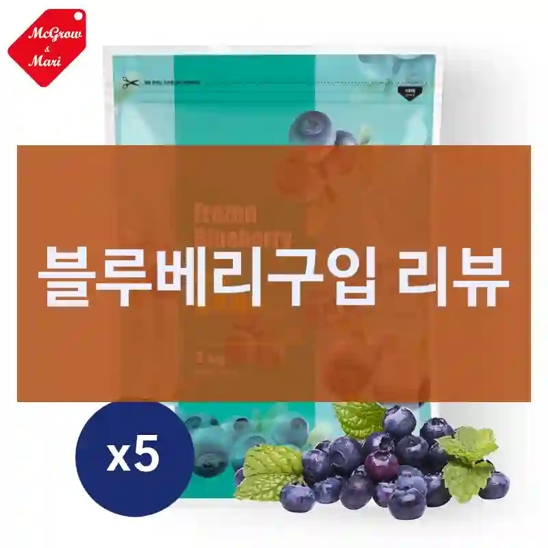 블루베리구입 리뷰