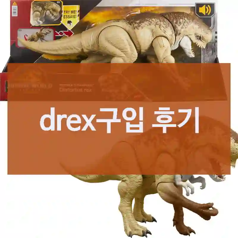 drex구입 후기