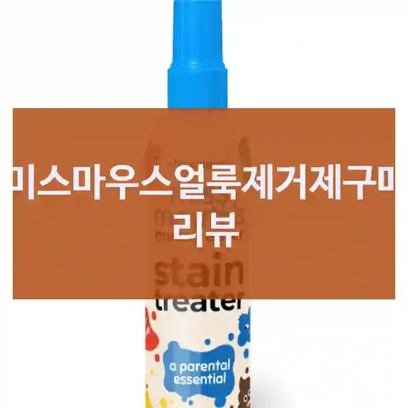 미스마우스얼룩제거제구매 리뷰