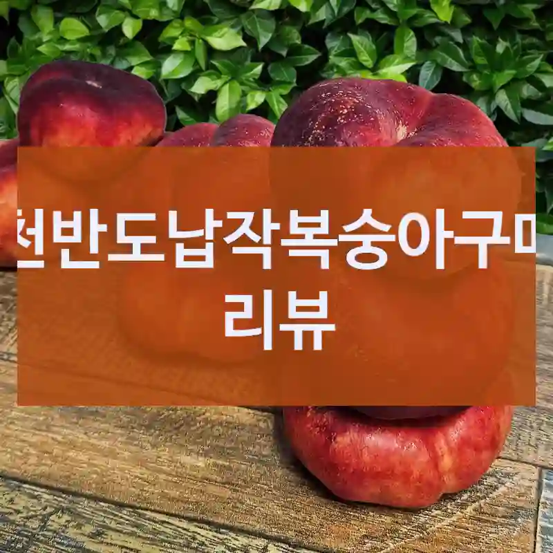 천반도납작복숭아구매 리뷰