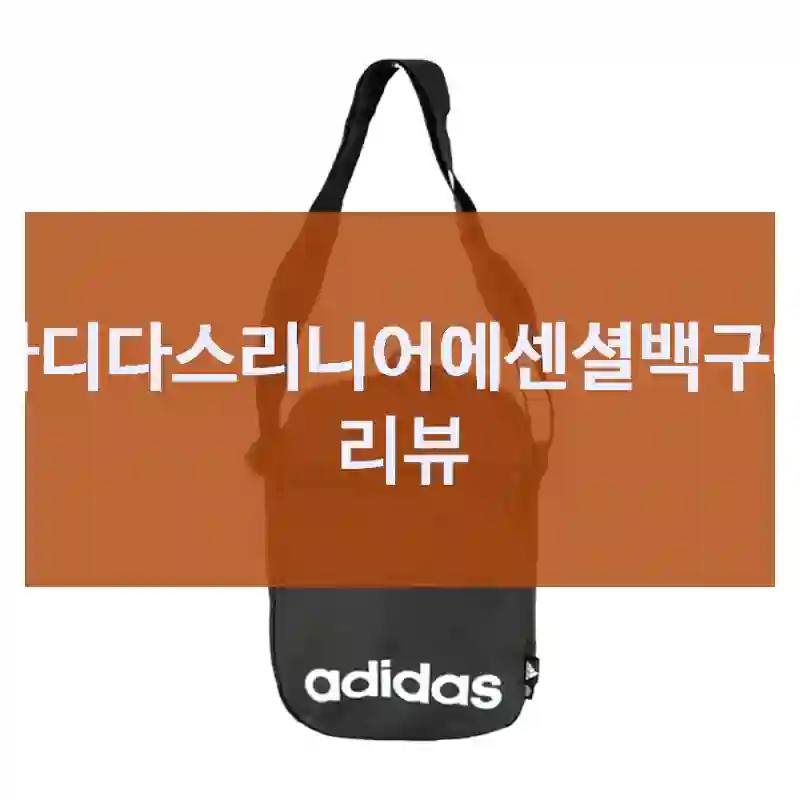 올해 가장 만족한 소비, 아디다스 “아디다스리니어에센셜백” 경험기