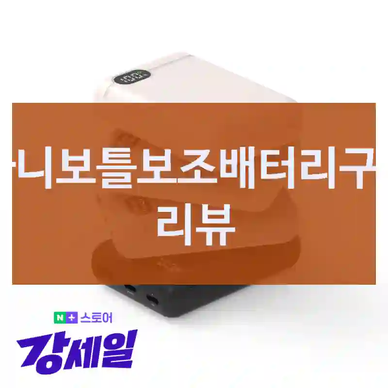 리큐엠 빠니보틀보조배터리 실제 만족도는?