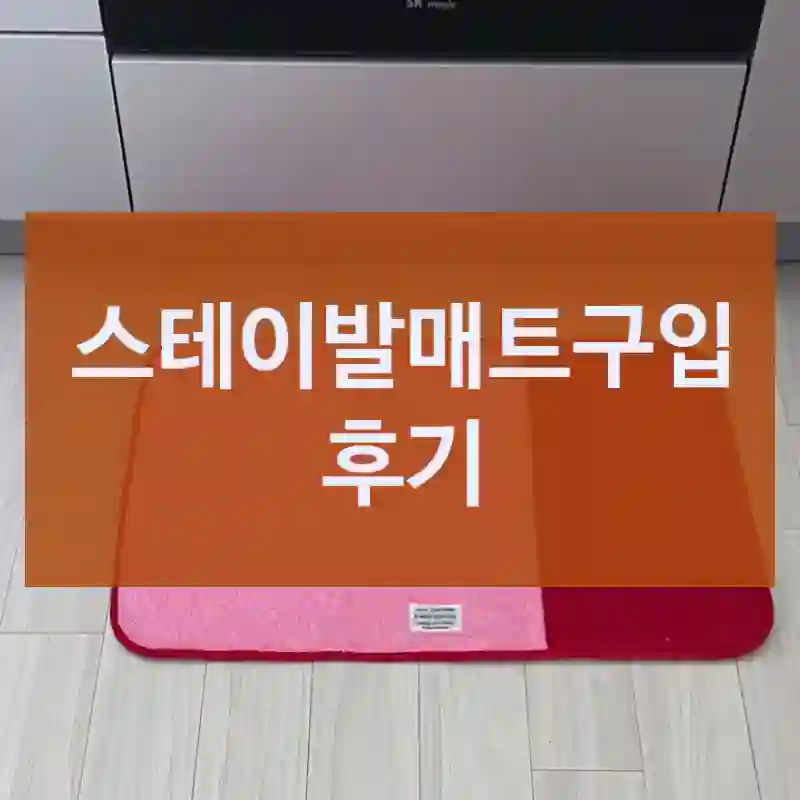 스테이발매트구입 후기