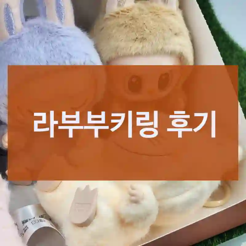 많이들 찾는 “라부부키링” 체험기, 정품