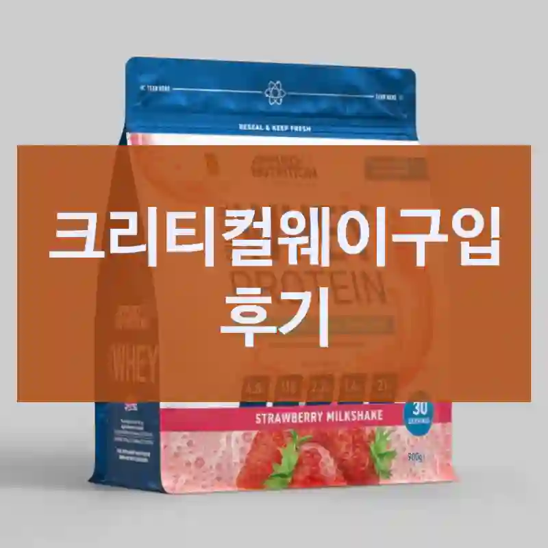 구매 전 고민 많았던 크리티컬웨이, 내 경험은?