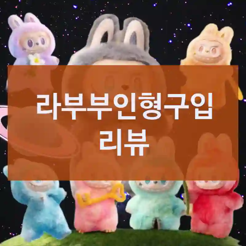 사기 전 꿀팁 정리 라부부인형, 정품