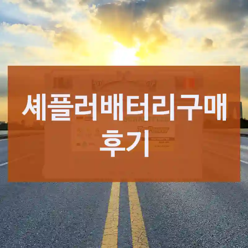 셰플러배터리구매 후기