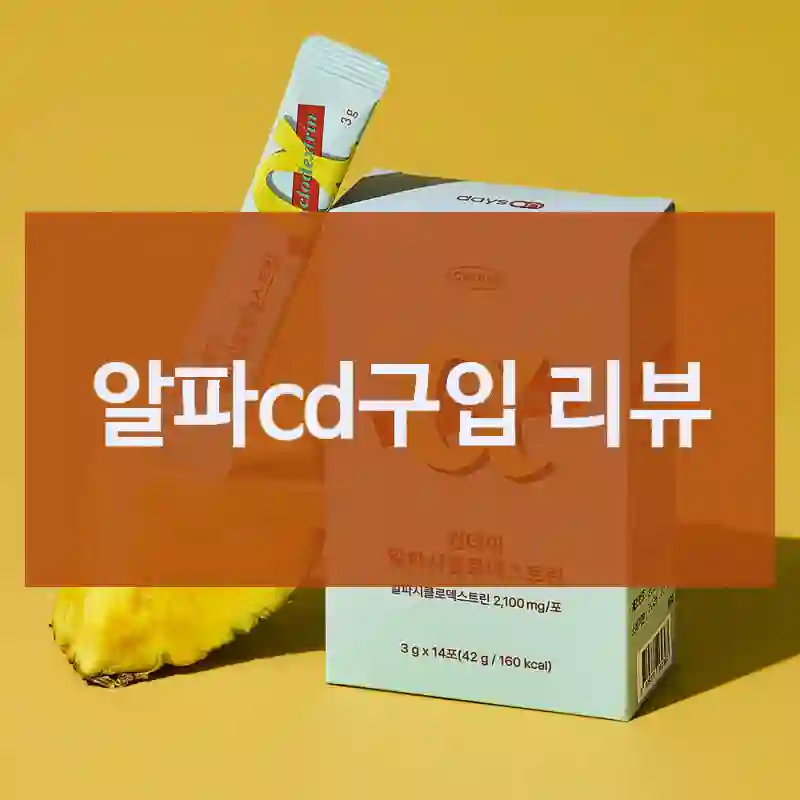 알파cd구입 리뷰