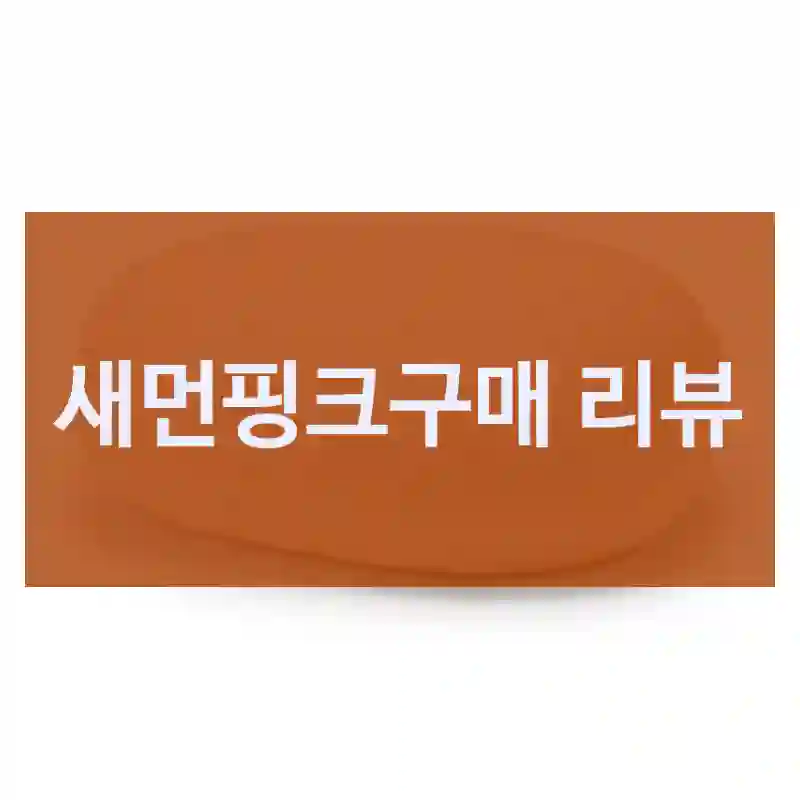 틱톡에서 난리 난 새먼핑크, 사용 후기, 폭신한쿠션감