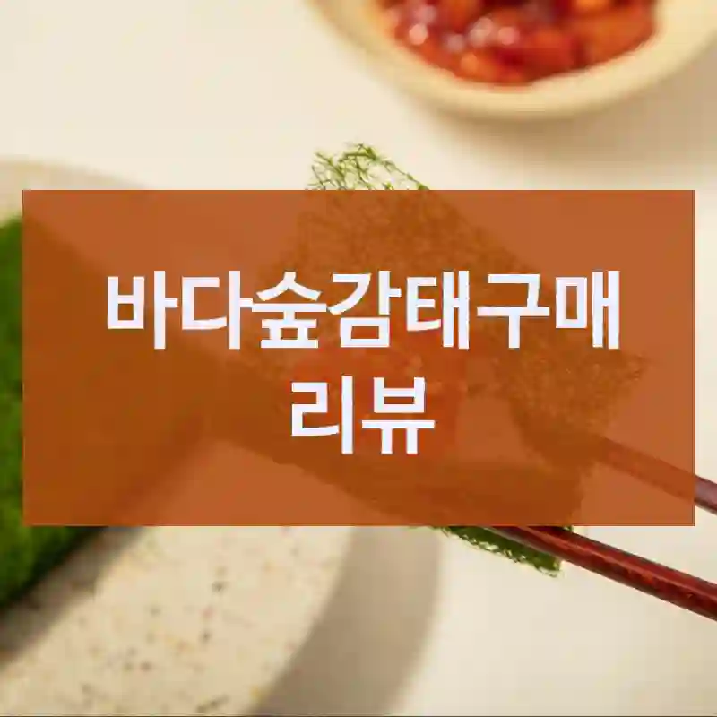 바다숲 바다숲감태 누구에게 맞을까?