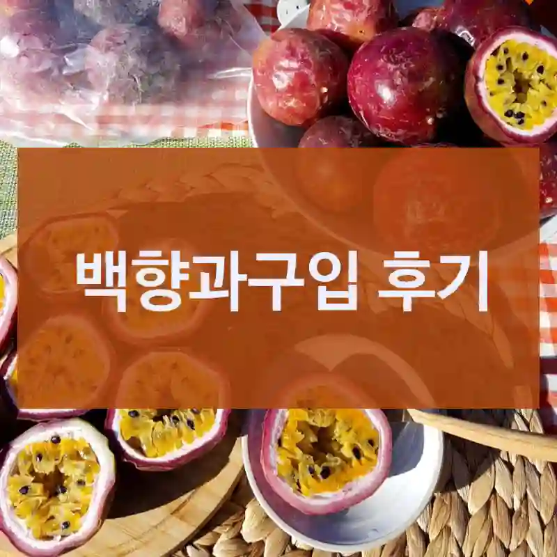 백향과구입 후기