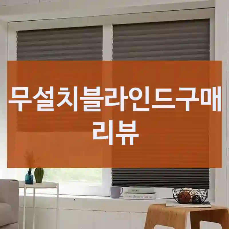 무설치블라인드구매 리뷰
