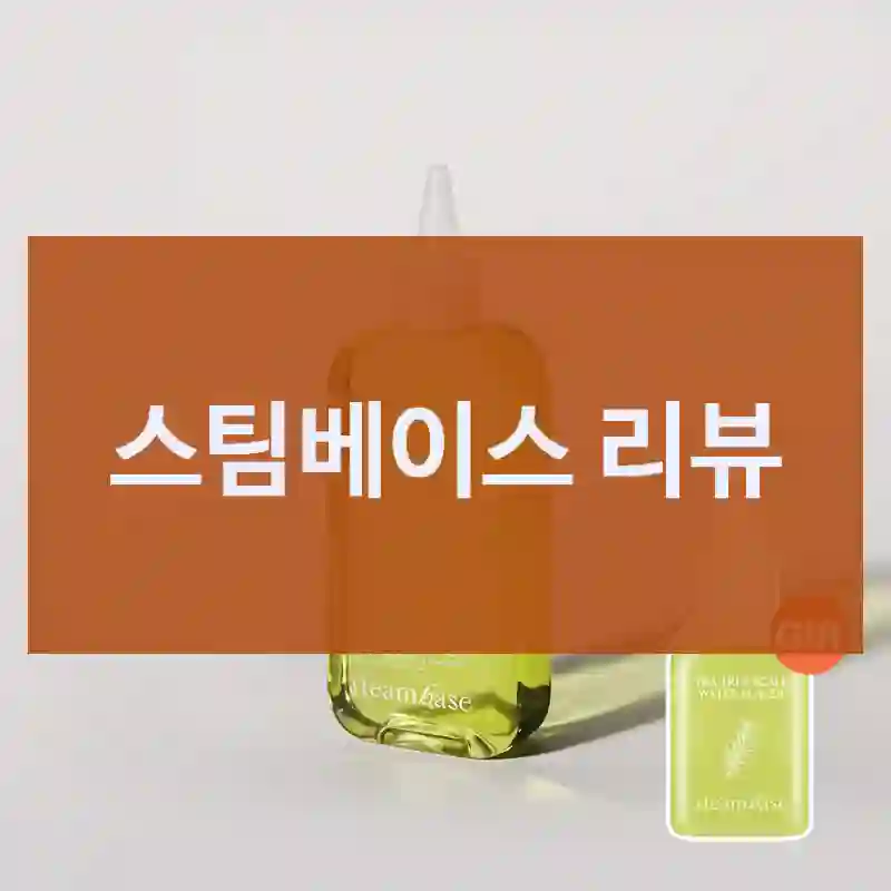 스팀베이스 리뷰