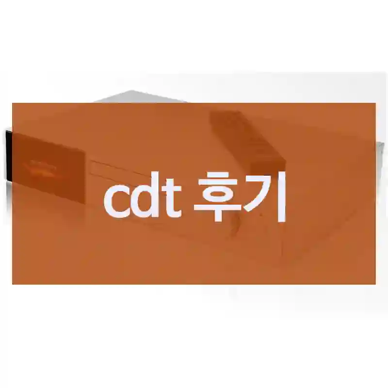 cdt 후기
