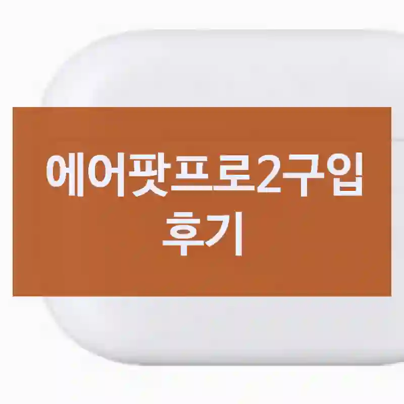 구매 전 필독! 에어팟프로2, 에어팟프로2