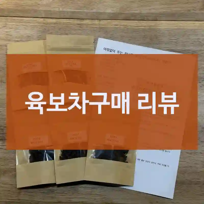 “육보차” 단기 체험 후기