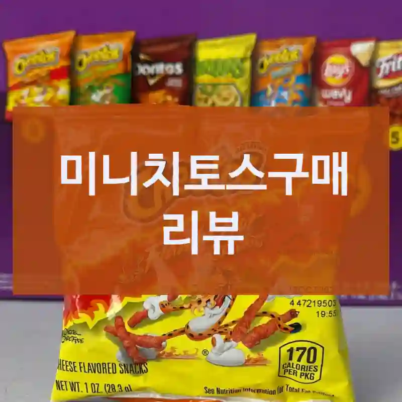 블로그 후기 보고 산 Frito Lay 미니치토스, 진짜 괜찮았을까?