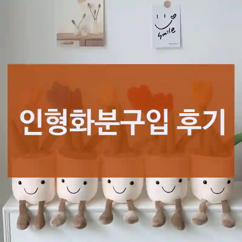 인형화분구입 후기